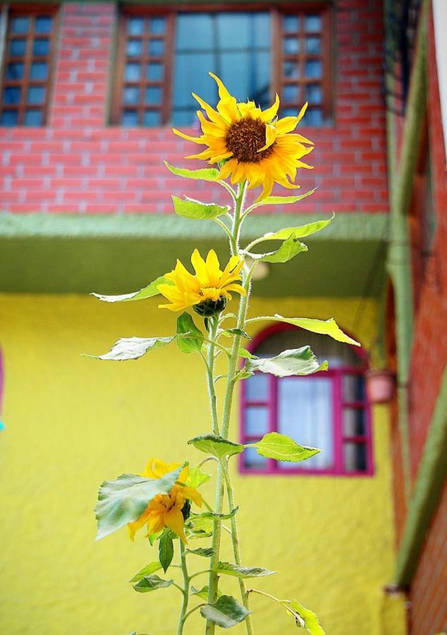 Hostal Inti Raymi Backpackers Baños Eksteriør bilde